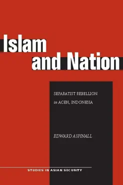 islam and nation book cover image