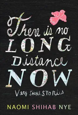there is no long distance now book cover image
