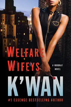 welfare wifeys book cover image