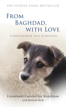 from baghdad, with love imagen de la portada del libro