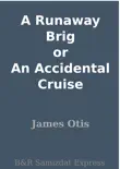 A Runaway Brig or An Accidental Cruise synopsis, comments