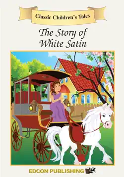 the story of white satin book cover image