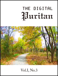 the digital puritan, vol.1, no.3 book cover image