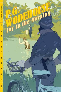 joy in the morning book cover image