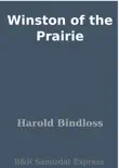 Winston of the Prairie synopsis, comments