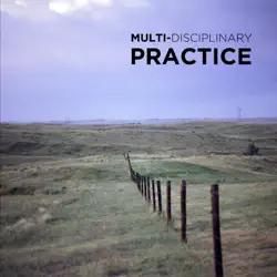 multi-disciplinary practice book cover image