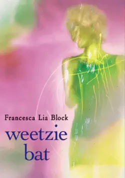 weetzie bat book cover image
