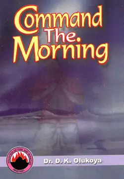 command the morning book cover image