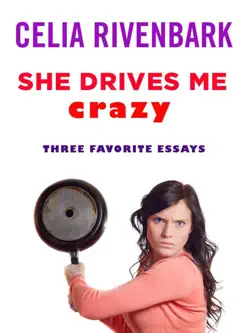 she drives me crazy book cover image