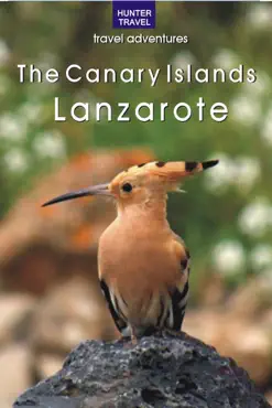 the canary islands - lanzarote book cover image