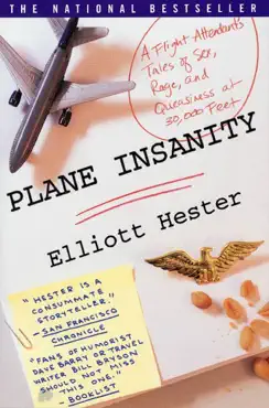 plane insanity book cover image