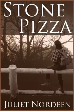 stone pizza book cover image