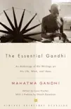 The Essential Gandhi synopsis, comments