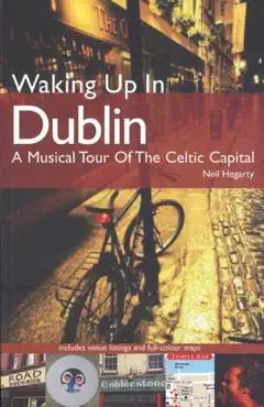 waking up in dublin book cover image