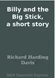 Billy and the Big Stick, a short story synopsis, comments