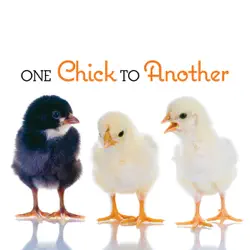one chick to another book cover image