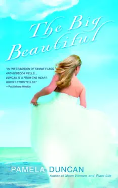 the big beautiful book cover image