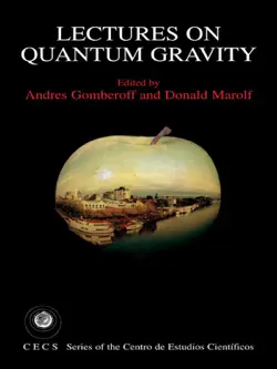 lectures on quantum gravity book cover image