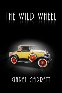 the wild wheel book cover image