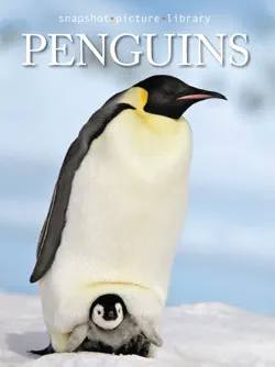 penguins book cover image