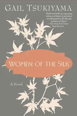 women of the silk book cover image