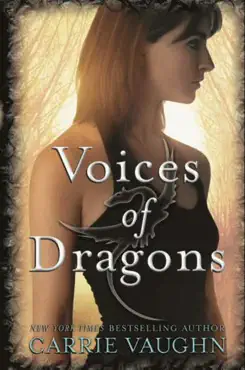 voices of dragons book cover image
