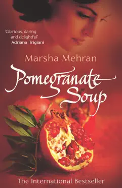 pomegranate soup imagen de la portada del libro