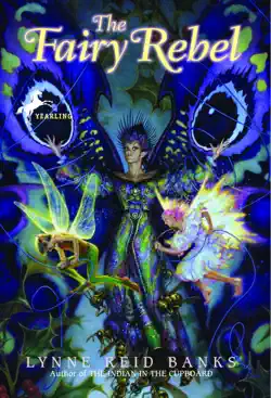 the fairy rebel imagen de la portada del libro