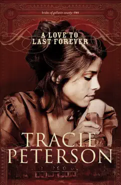 love to last forever book cover image