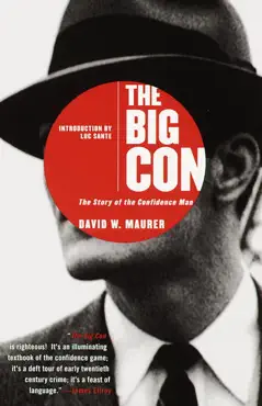 the big con book cover image