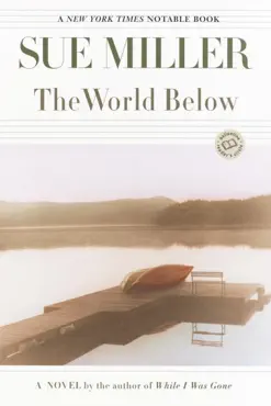 the world below book cover image