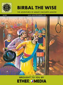 birbal the wise book cover image
