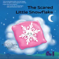 the scared little snowflake book cover image