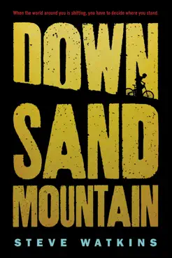 down sand mountain book cover image