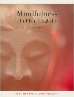 mindfulness (in plain english) book cover image