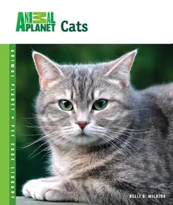 cats book cover image