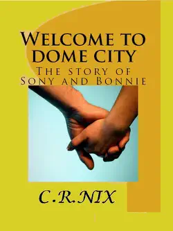 welcome to dome city book cover image