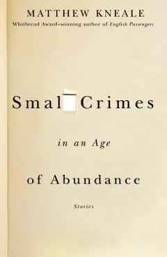 small crimes in an age of abundance book cover image