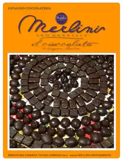 merlini cioccolateria book cover image
