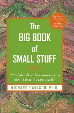 the big book of small stuff book cover image