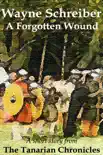 A Forgotten Wound synopsis, comments