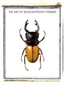the art of bugs book cover image