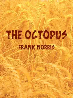 the octopus book cover image