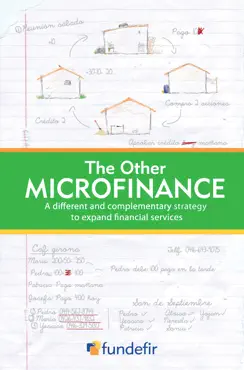 the other microfinance book cover image