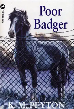 poor badger book cover image