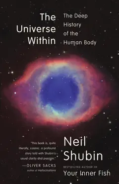 the universe within book cover image