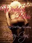 Wedded Bliss synopsis, comments