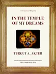 In the Temple of My Dreams synopsis, comments