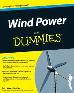wind power for dummies imagen de la portada del libro