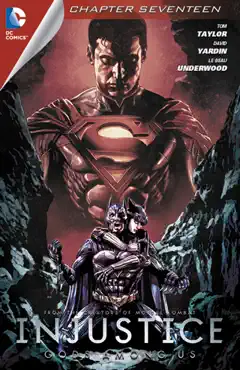injustice: gods among us #17 book cover image
